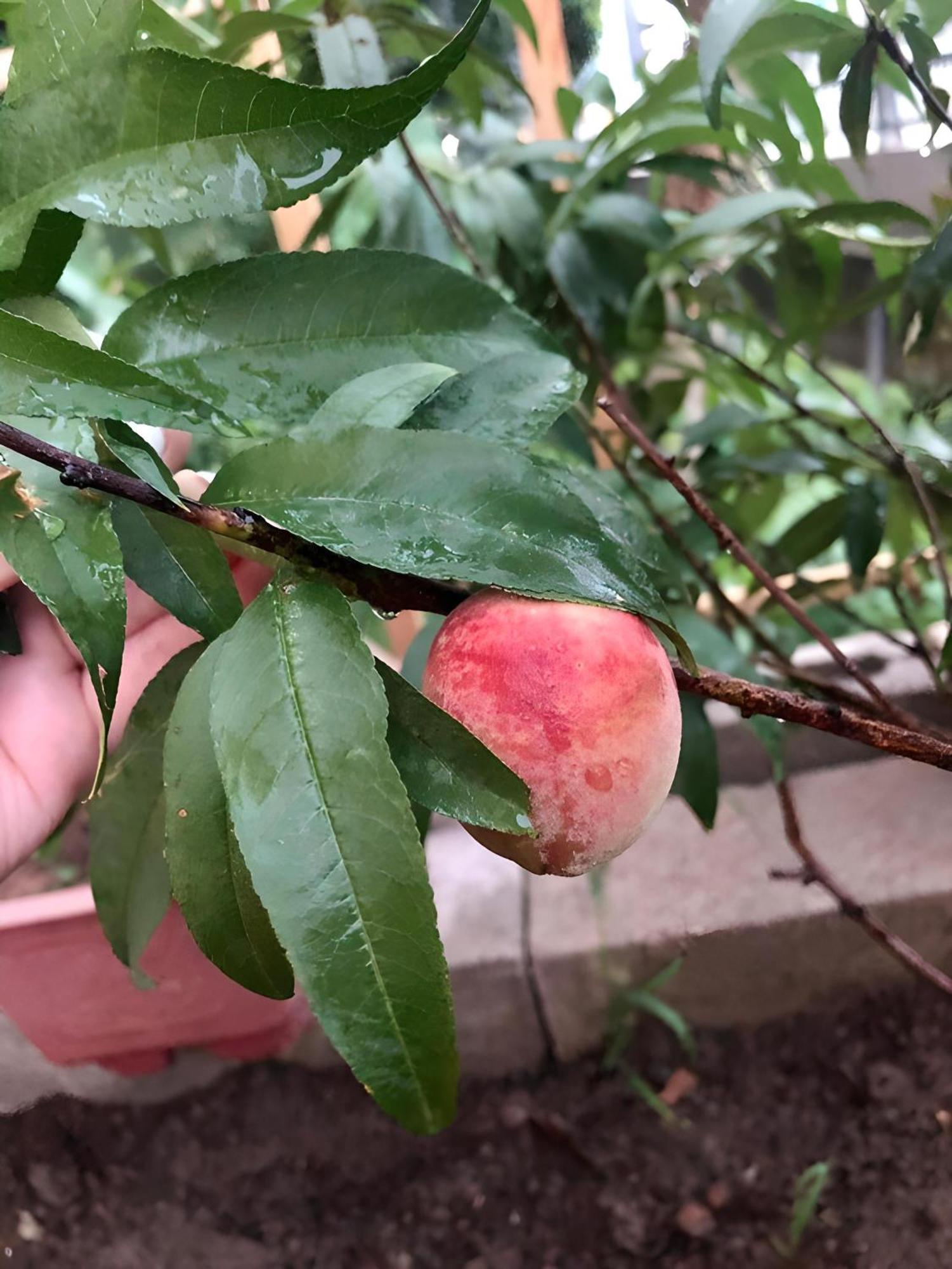 קאו באנג Tit Mit Homestay מראה חיצוני תמונה